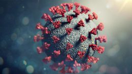 Kell-e még tartanunk a koronavírus-járványtól, és milyen szerepük van az állatoknak a pandémiák kialakulásában?
