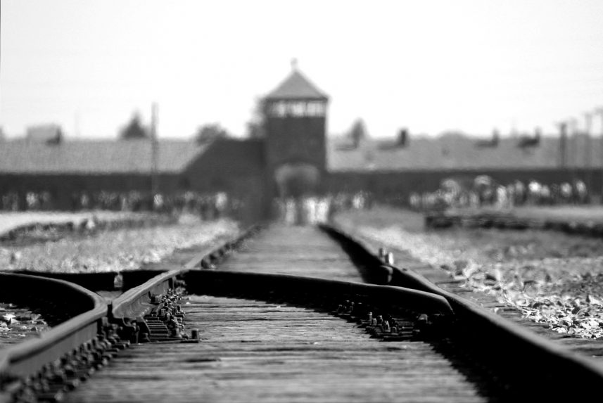 A 40 év alatti hollandok úgy vélik, a holokauszt nem történt meg