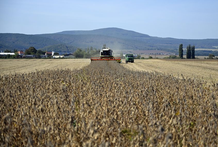 Az uniós országok mezőgazdasági termelői kártérítést kapnak – Szlovákia 5,24 millió euróhoz jut