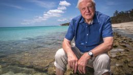 Az ENSZ kitüntette David Attenborough természettudóst
