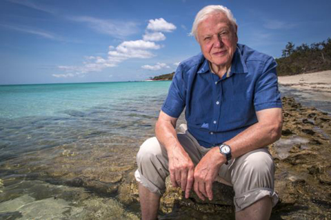 Az ENSZ kitüntette David Attenborough természettudóst