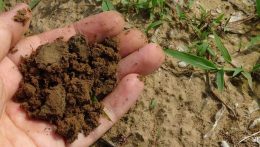Miért romlik a talaj minősége?
