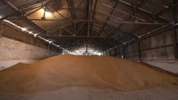 Szlovákia ideiglenesen leállította az ukrajnai gabonabehozatalt