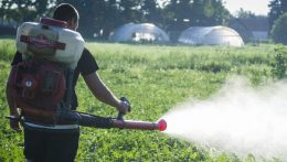 Az EU jogszabályokat vezetne be a növényvédő szerek használatának csökkentésére