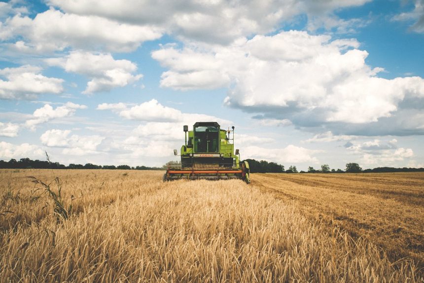 Az ukrán gabonaexport újraindításáról tárgyalnak az uniós külügyminiszterek.