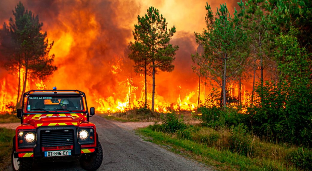 250 hektár fenyőerdő égett le Franciaországban