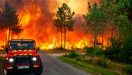 250 hektár fenyőerdő égett le Franciaországban