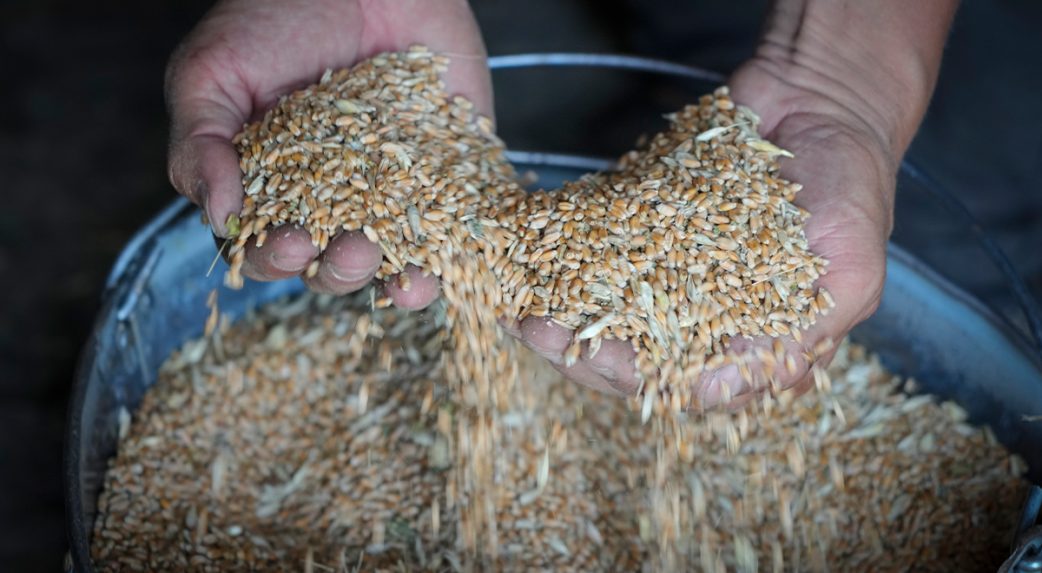 Megállapodást írnak alá Törökországban az ukrán gabona szállításáról