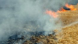 Tarlótűz miatt riasztották a dunaszerdahelyi tűzoltókat