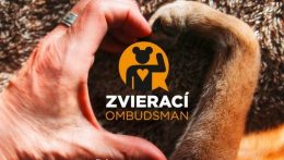 Az Állatjogi ombudsman tanácsai a nyári napokra