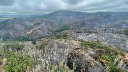 Tizedik napja küzdenek a szlovákiai tűzoltók a csehországi erdőtűzzel