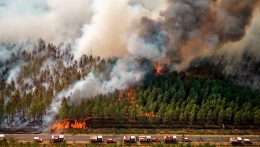660 ezer hektár terület égett le eddig idén Európában erdőtüzekben