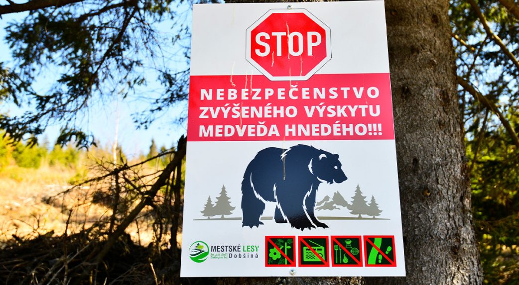 A medvék miatt több magyarlakta régióban is vészhelyzetet hirdetne ki a kormány