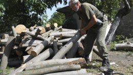Aláírásgyűjtésbe kezdtek a magyar zöld szervezetek a tűzifarendelet ellen