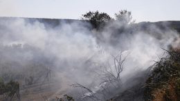 Tűz ütött ki hétfőn Pozsonyban a récsei szőlődombokon