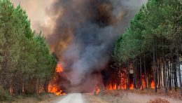 Erdőtüzek tombolnak Franciaországban