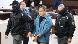 Előzetes letartóztatásba helyezték Dušan Dedečeket