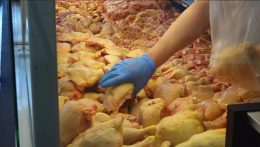 Szalmonellával fertőzött lengyel baromfihúst találtak ellenőrök egy közép-szlovákiai üzletben