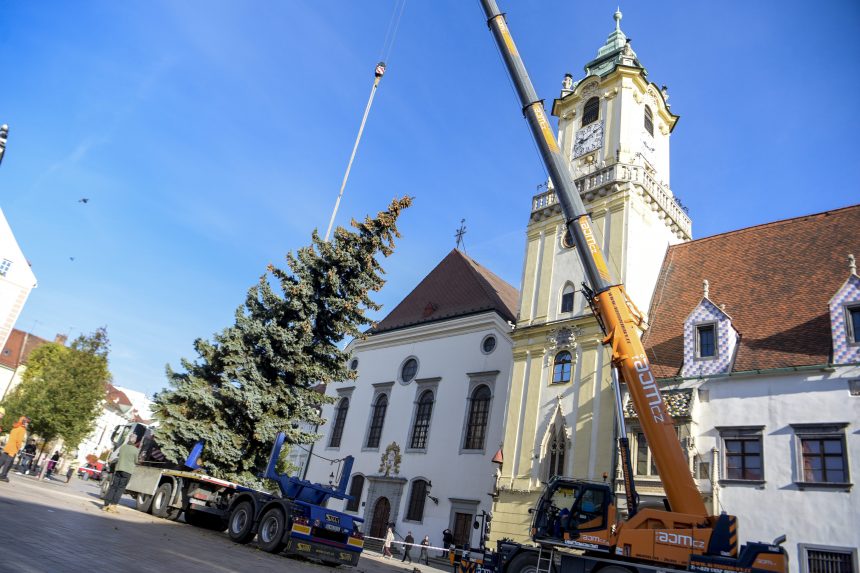 Felállították a pozsonyi karácsonyfát