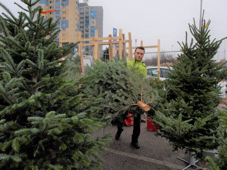 Milyen karácsonyfa a környezetbarát?