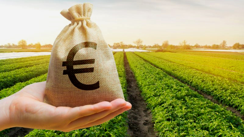 Ötvenmillió eurós állami támogatást hagyott jóvá a szlovákiai agrárszektor számára az Európai Unió