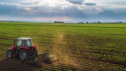 Az év 365 napjára ad munkát – A mezőgazdász lét kihívásairól