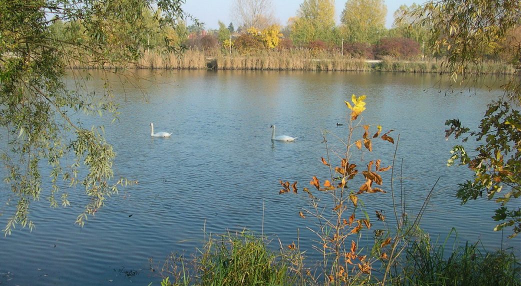 Mi lesz a csallóközi termőföldek sorsa a Duna Menti Nemzeti Park létrehozásával?