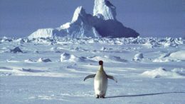 Rekordalacsony az Antarktisz körüli  jég felülete