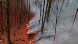 2022-ben 2 033 helyen keletkezett tűz a fű és a száraz növény égése miatt