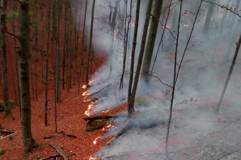 Erdőtüzek miatt evakuálják Kanada egyes régióit