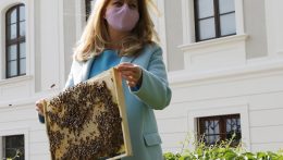 A méhek pótolhatatlan szerepére hívta fel a figyelmet az államfő