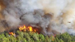 Már több mint 20 ezer embert kellett kitelepíteni az erdőtüzek miatt Kanadában
