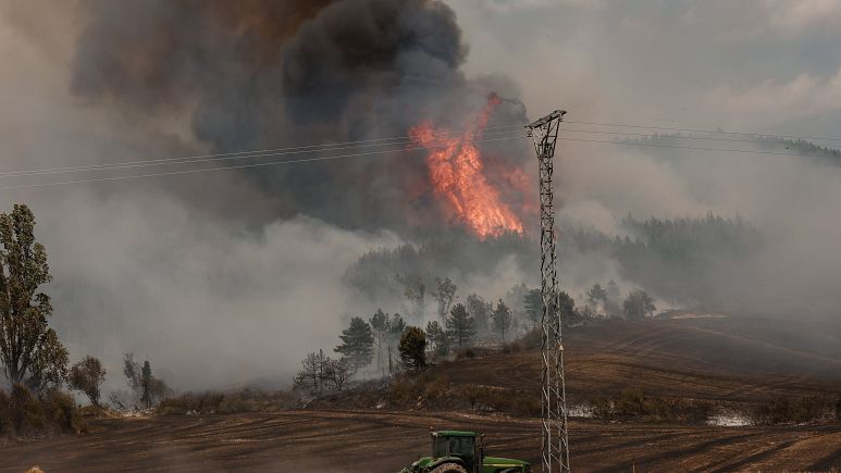 Erdőtűz La Palma szigetén