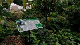 Kassán koncertekkel várják a botanikus kert látogatóit