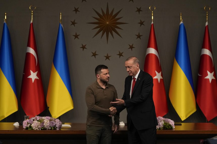 Erdogan szerint Ukrajna megérdemli, hogy csatlakozzon a NATO-hoz