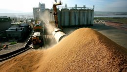 Moszkvának köszönhetően Ismét emelkedhet a gabona ára