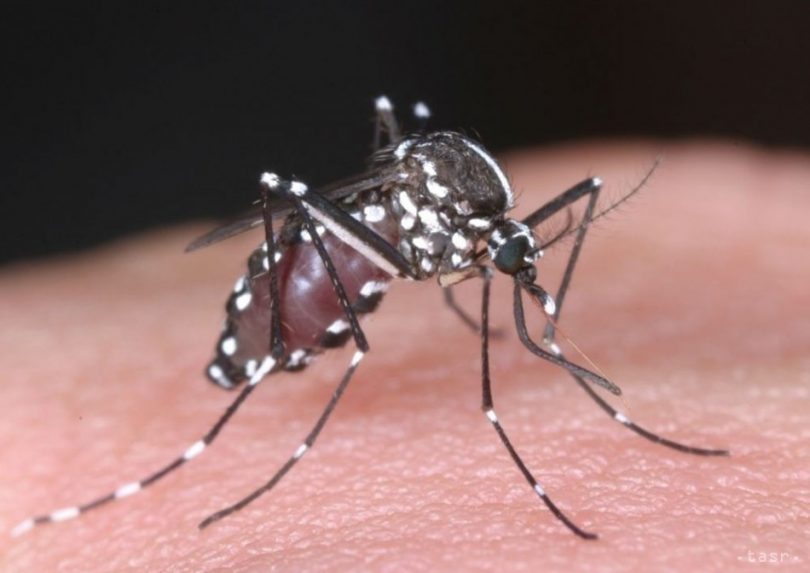 Terjed a dengue-láz Indiában és Bangladesben – figyelmeztet a külügyminisztérium