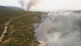 Továbbra is több tucat tűz terjed Görögországban, a legnagyobbak Alexandrúpoliban és Athén közelében