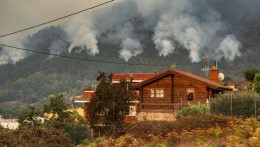 Ezreket evakuáltak Tenerifén a tomboló erdőtűz miatt
