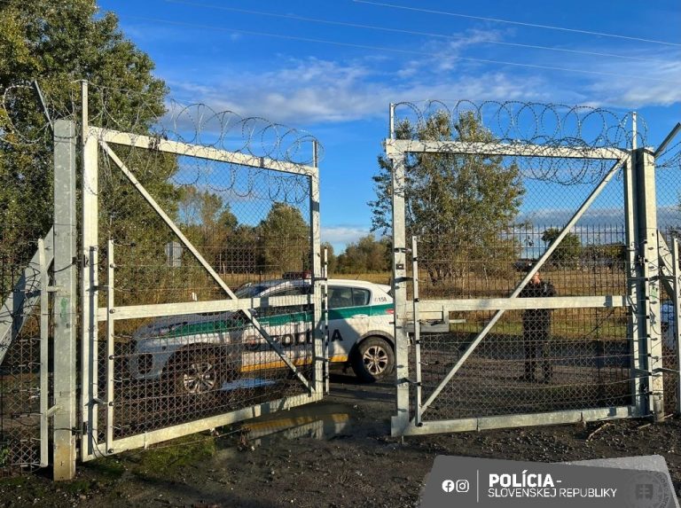 Összesen 136 rendőrt vezényeltek idén a magyar-szerb határra