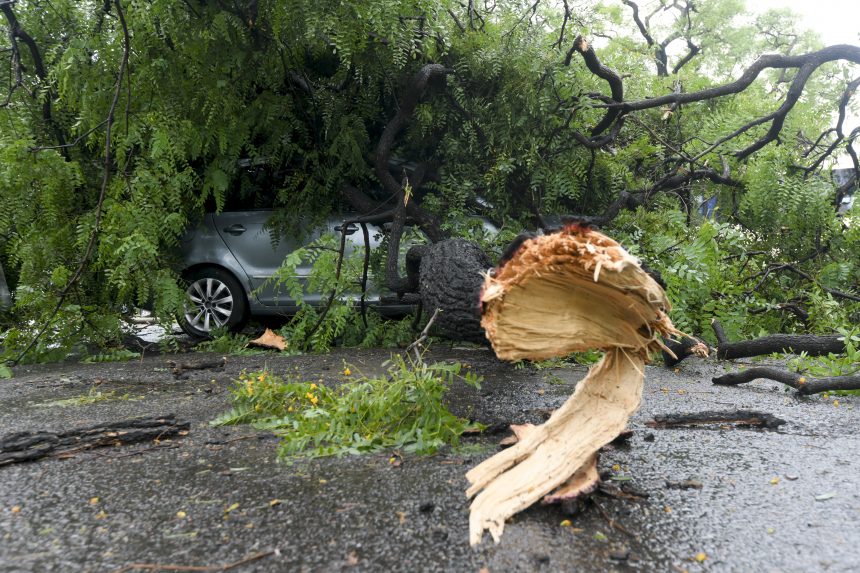 13 halálos áldozata van az argentínai viharos időjárásnak