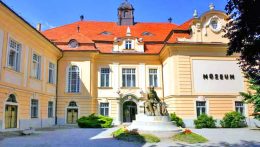 Új igazgató a Duna Menti Múzeum élén – interjú Paterka Pállal