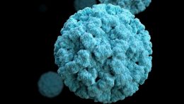 Norovírus-járvány tört ki Bán térésgében, amely más régiókban is terjedhet