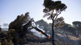 Egyre több helyen lángol a növényzet a Balkánon